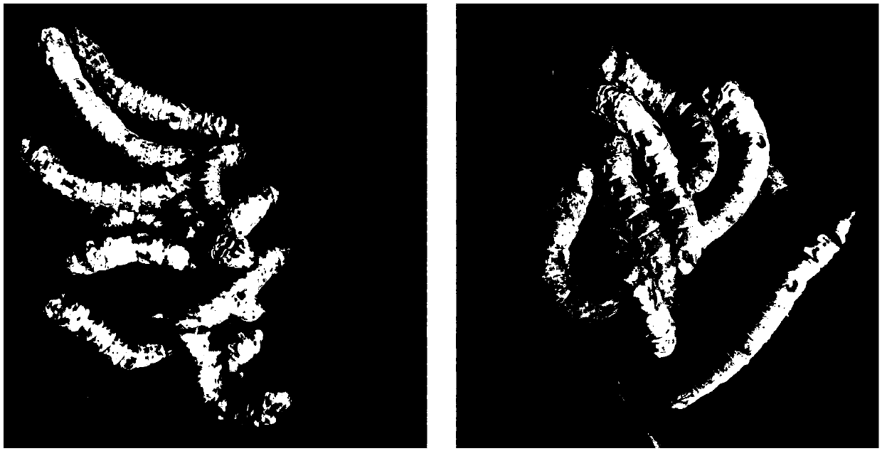 Method of utilizing biological function to prepare high-elasticity conductive polymer silk