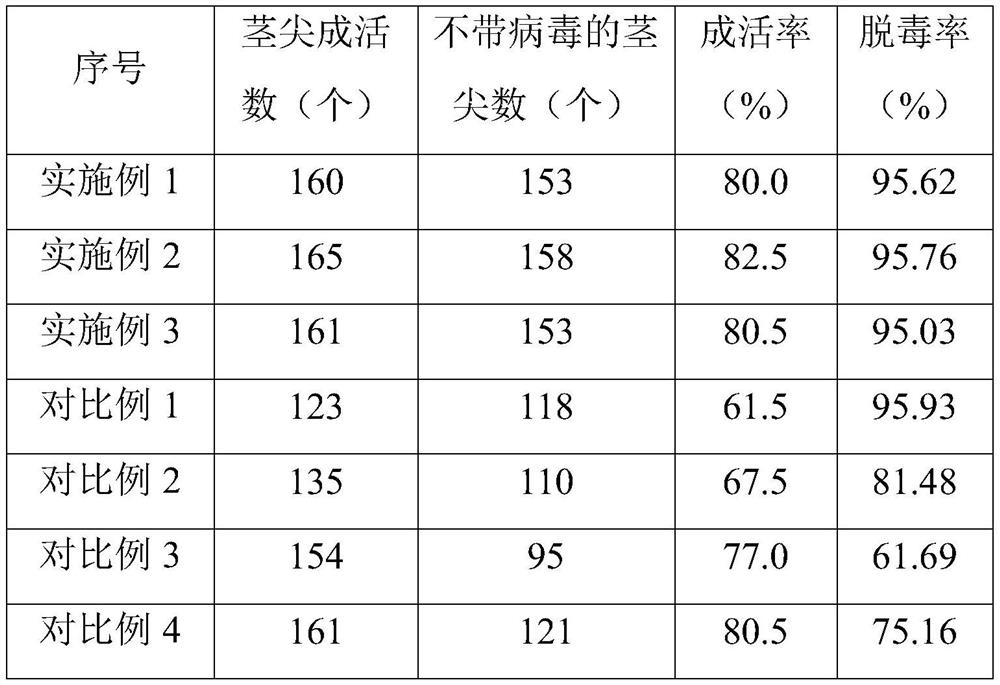 Method for detoxifying radix tetrastigme through vitrification ultralow temperature therapy