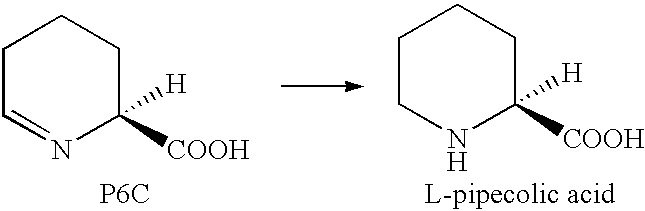 Process for the biological production of L-pipecolic acid