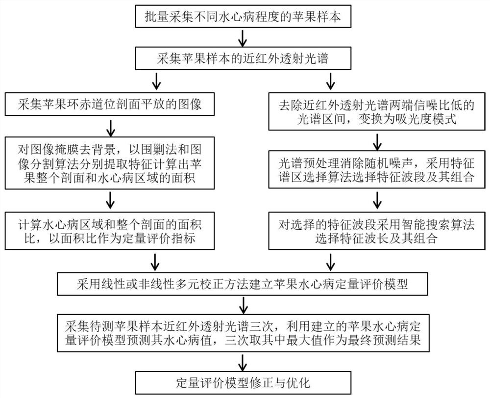 A Non-destructive Quantitative Evaluation Method of Apple Water Core by Transmission Spectrum