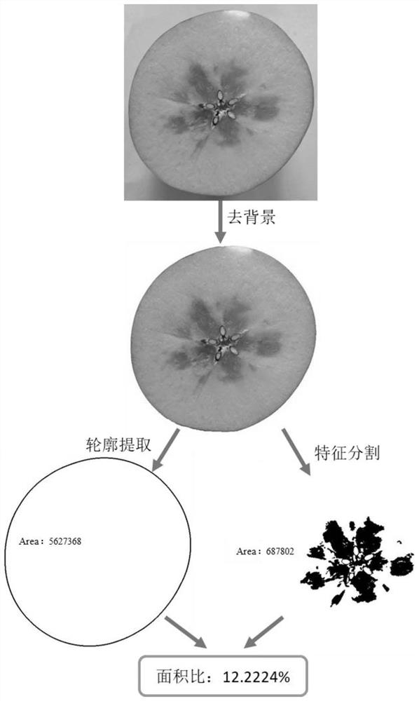 A Non-destructive Quantitative Evaluation Method of Apple Water Core by Transmission Spectrum