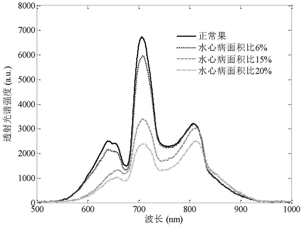 A Non-destructive Quantitative Evaluation Method of Apple Water Core by Transmission Spectrum