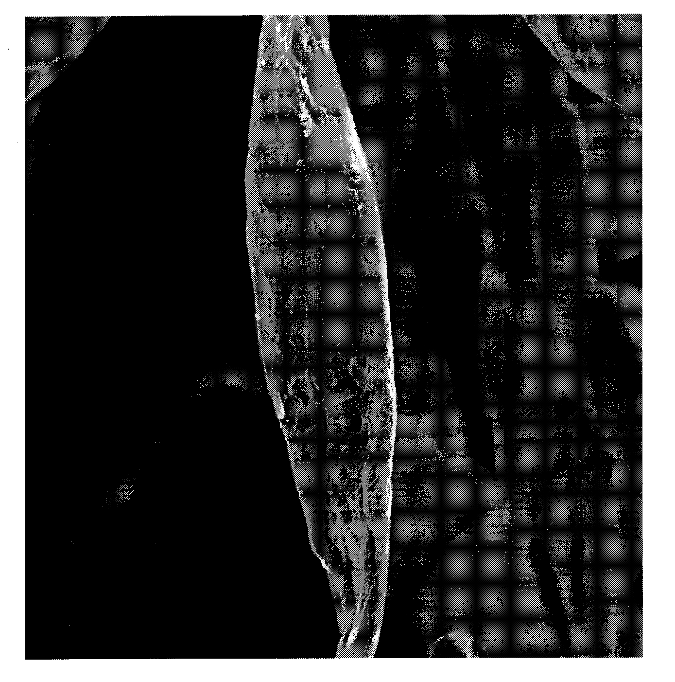 Chemically Stiffened Fibers In Sheet Form