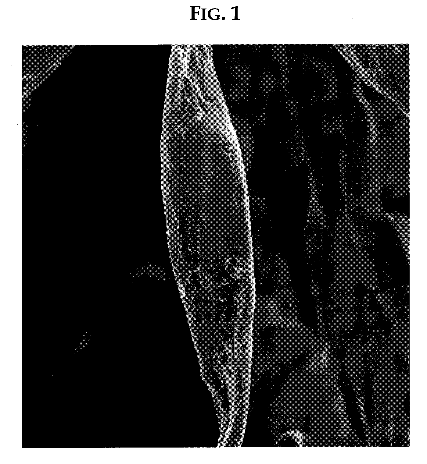 Chemically Stiffened Fibers In Sheet Form