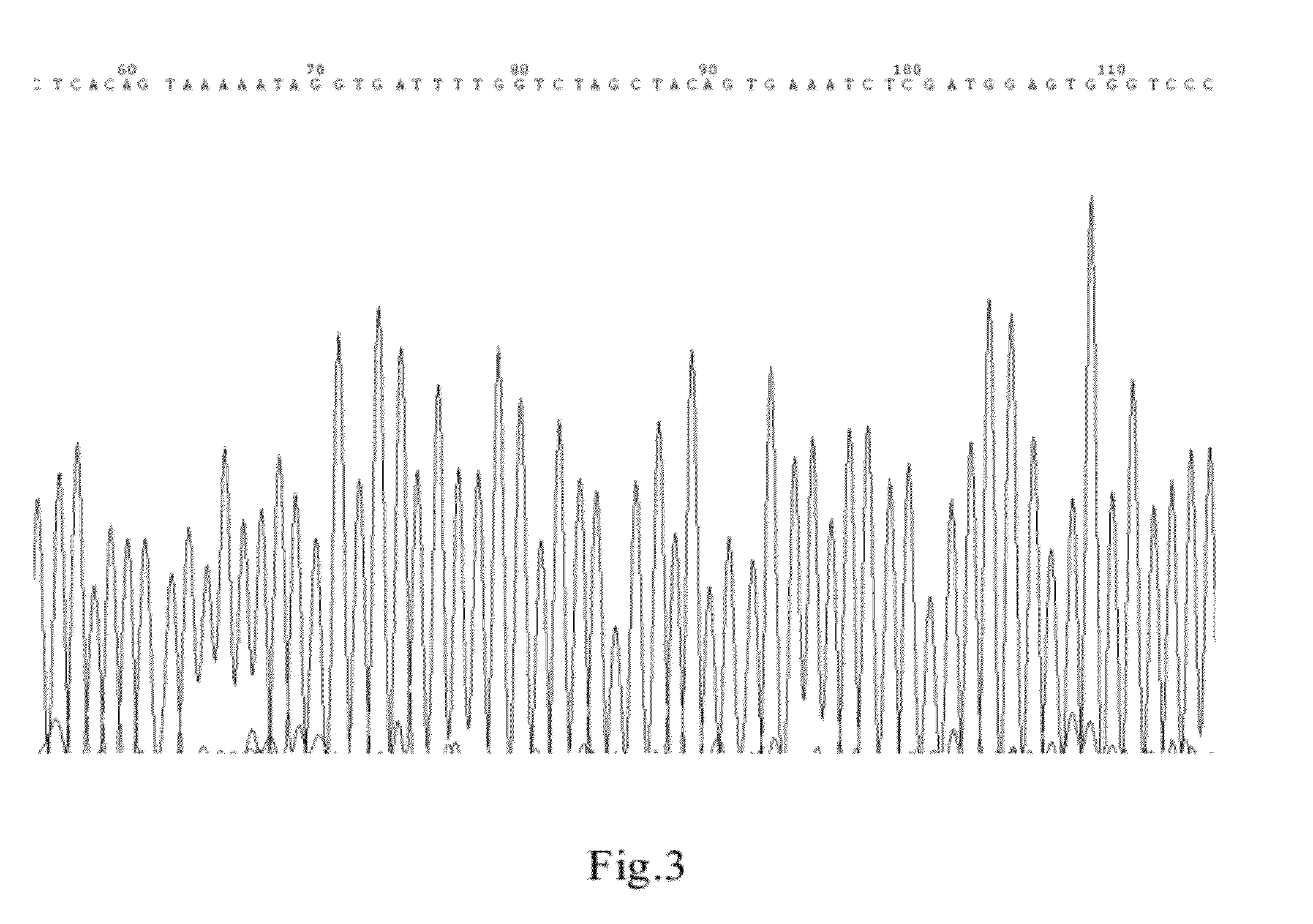 Kit for quantitative detection of braf mutation