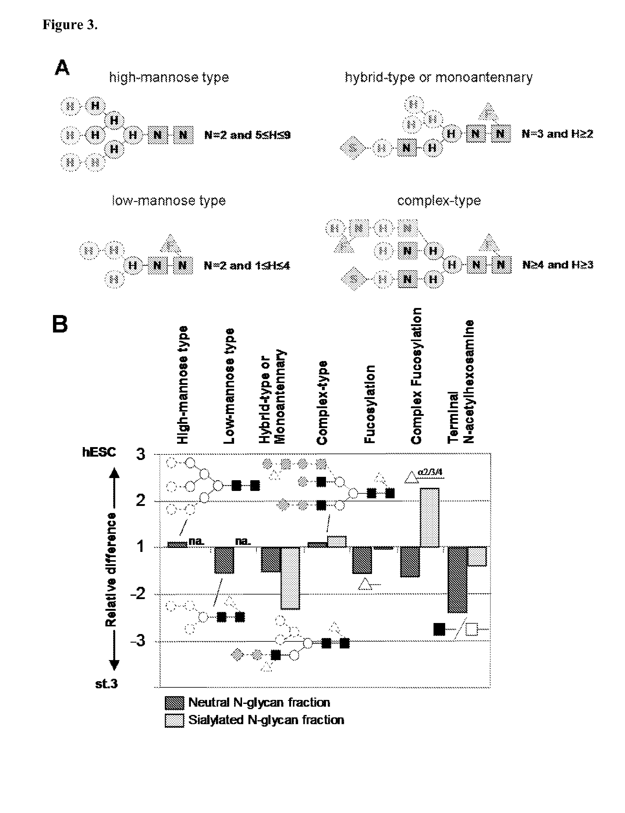 Novel cellular glycan compositions