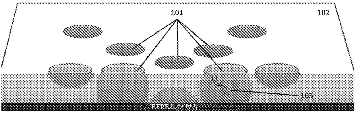 Recovering long-range linkage information from preserved samples