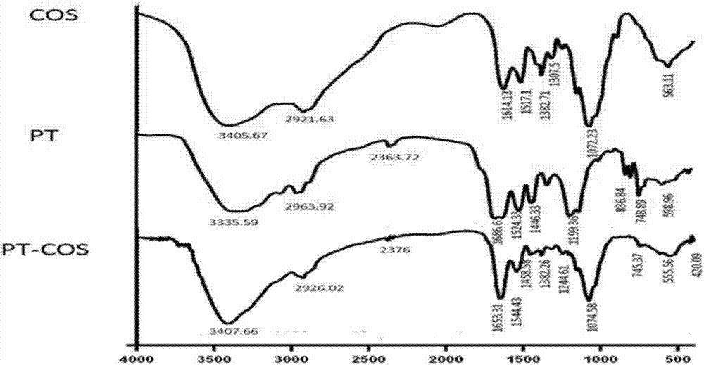 Antibacterial peptide-chitosan compound as well as preparation method and application thereof