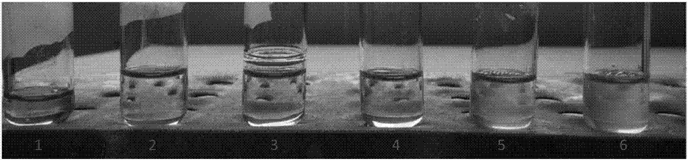 Antibacterial peptide-chitosan compound as well as preparation method and application thereof