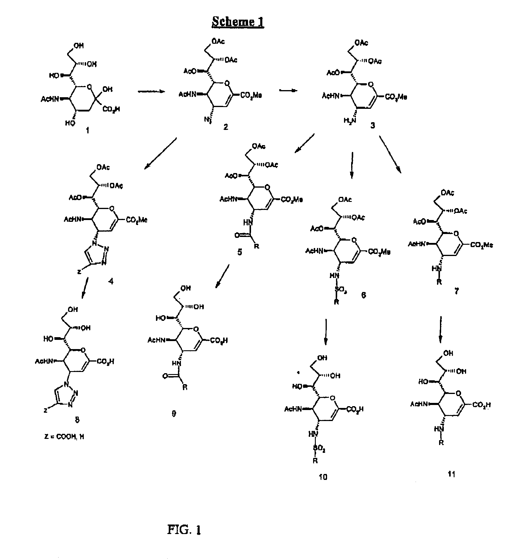 Compounds useful for inhibiting paramyxovirus neuraminidase