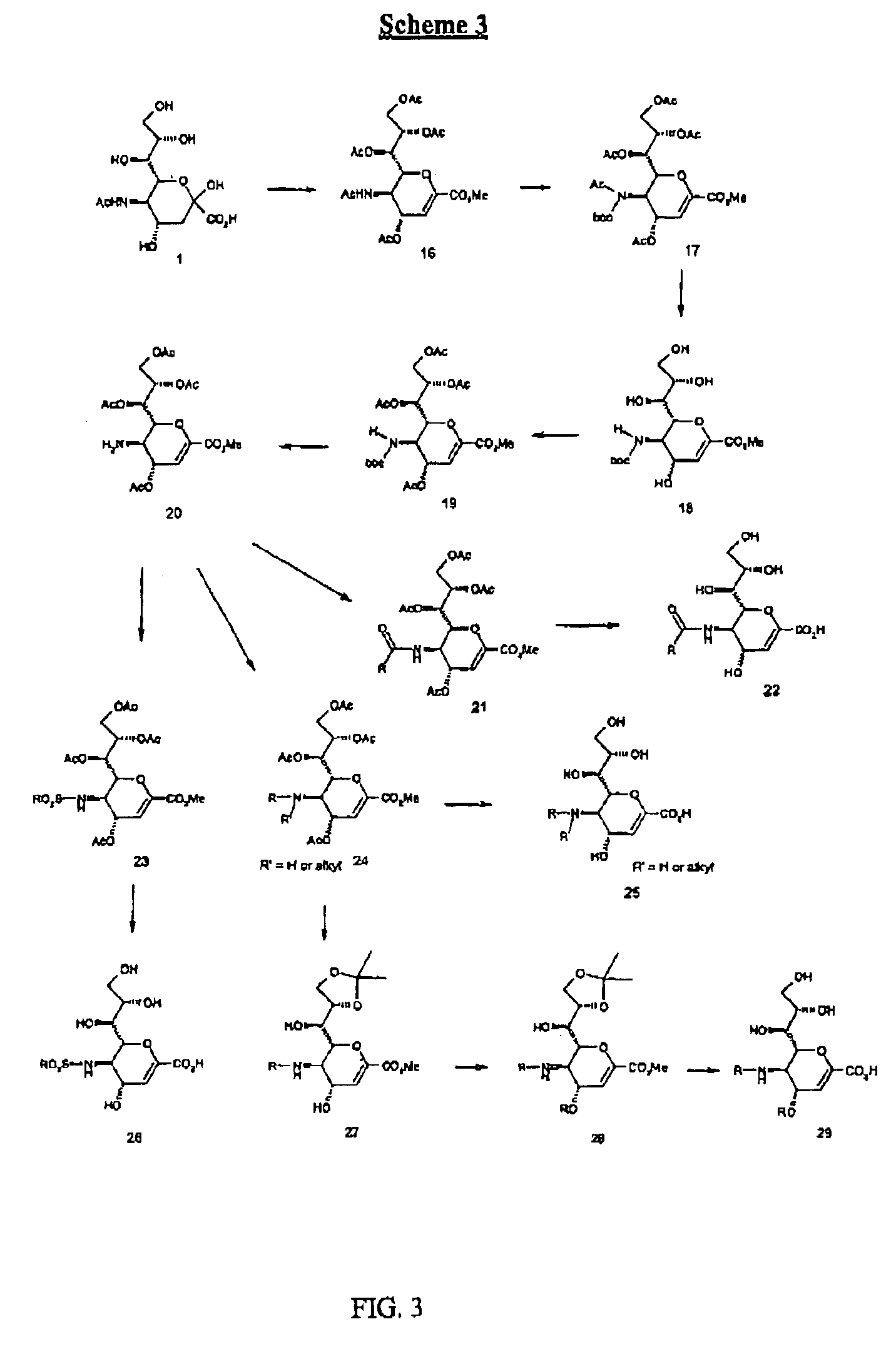 Compounds useful for inhibiting paramyxovirus neuraminidase