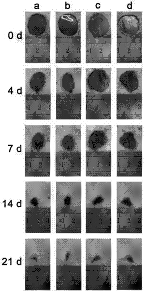 Preparation method of non-radical photochemical cross-linked hydrogel material, product and application thereof