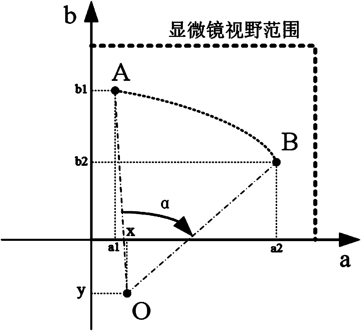 Sample platform, microscopic observation device and sample platform adjusting method