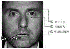 Safety check graph discrimination system including video analysis and graph discrimination method