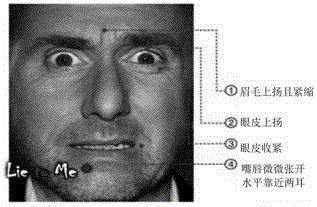 Safety check graph discrimination system including video analysis and graph discrimination method