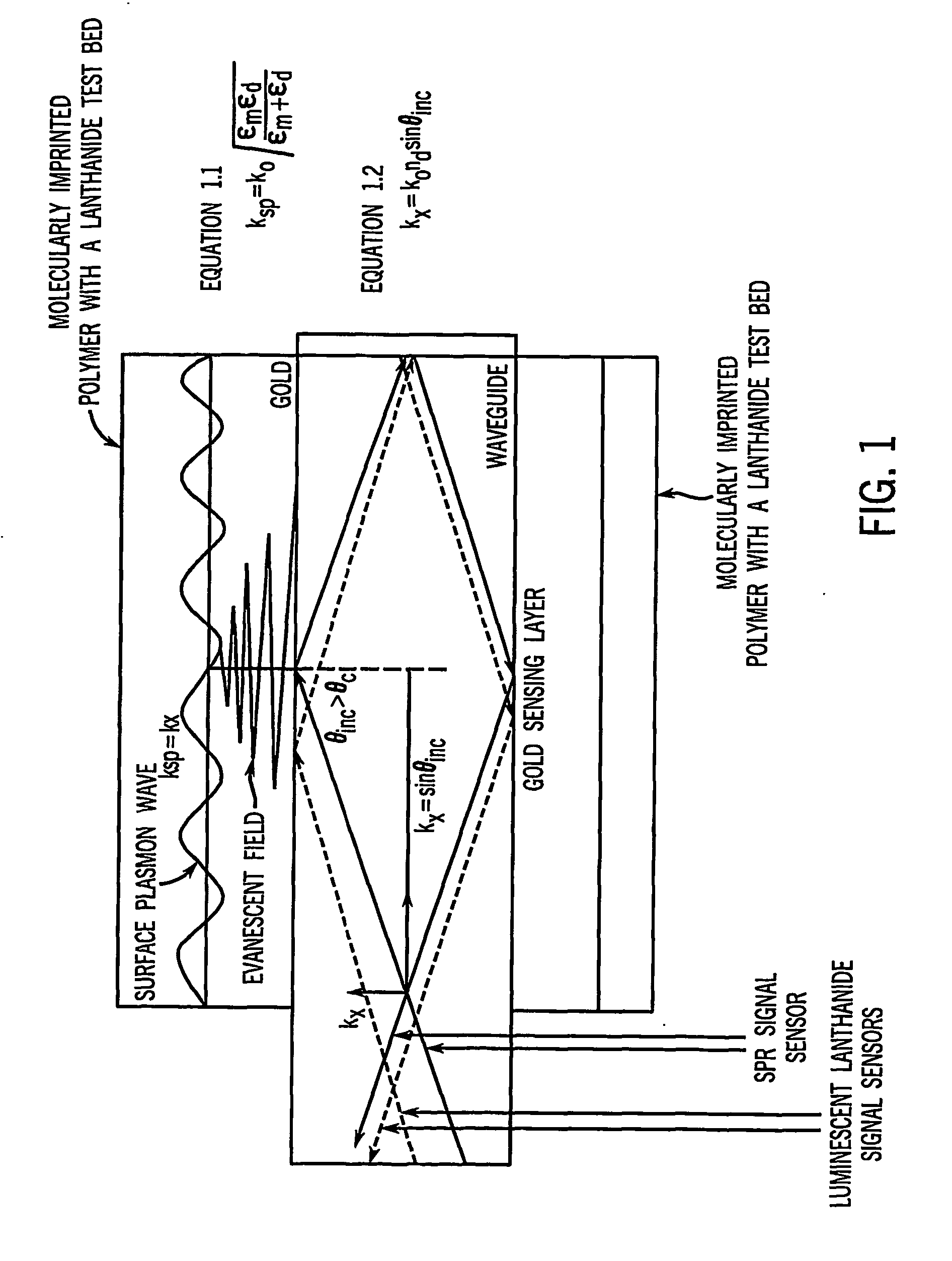 Chemical sensors featuring dual-sensing motifs