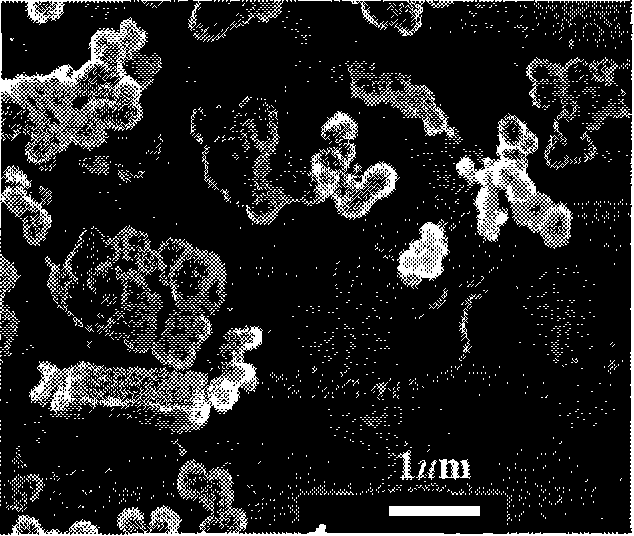 Method for preparing titanium dioxide hollow spherical powder