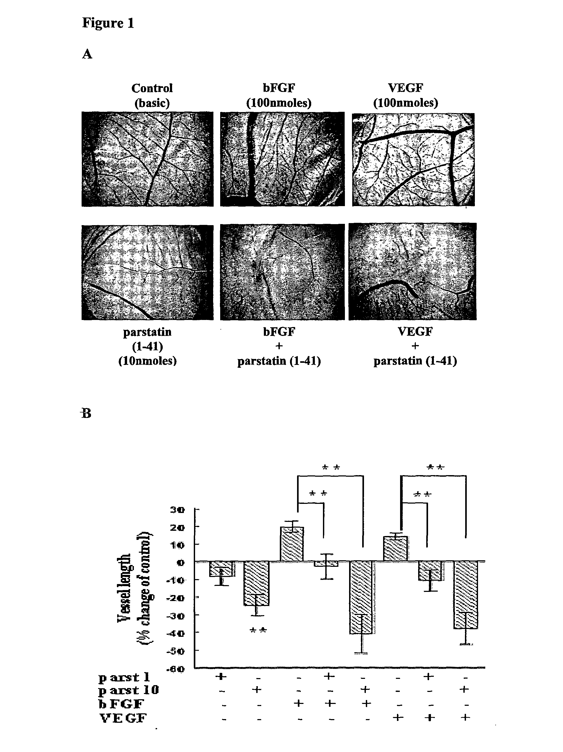 Parstatin peptides