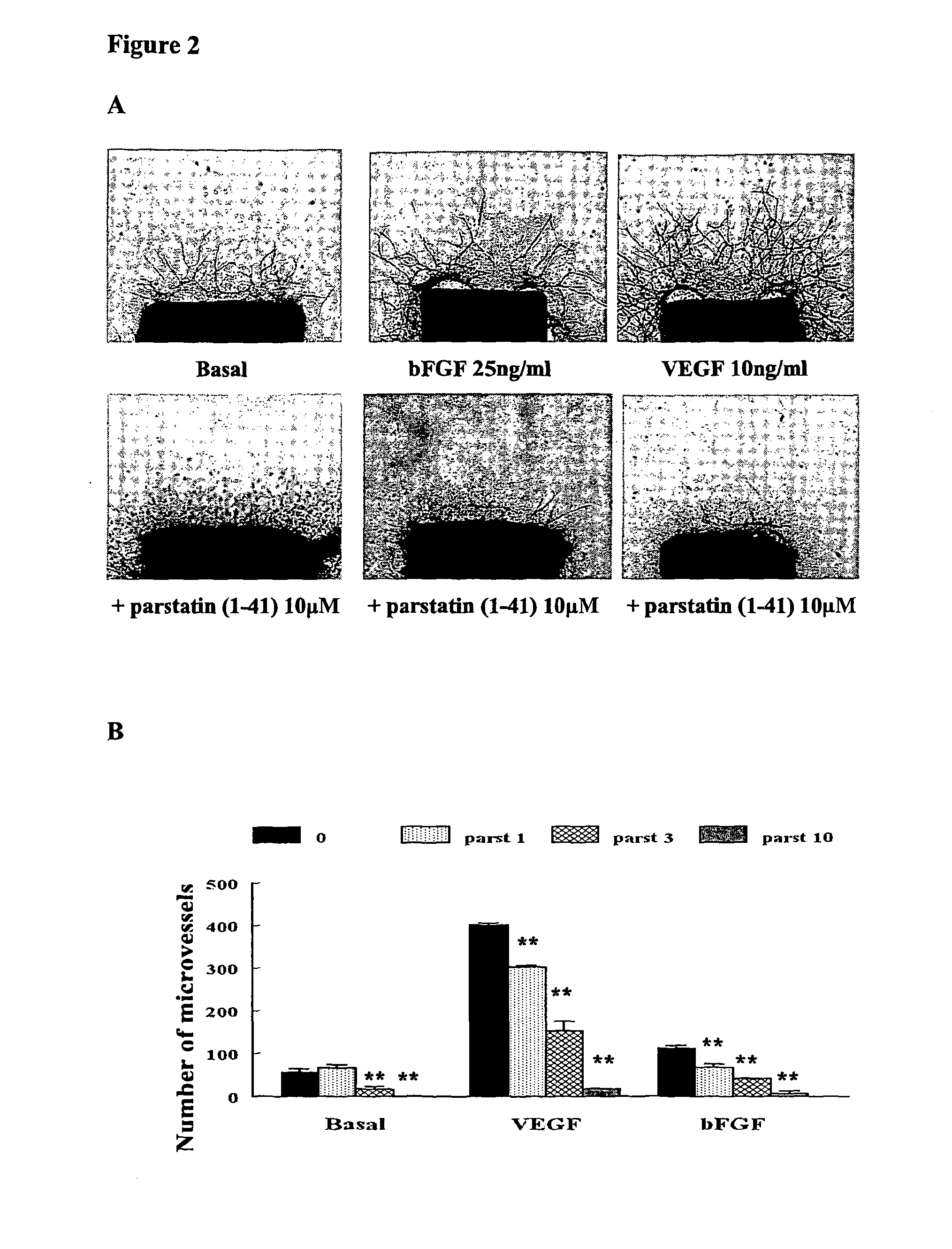 Parstatin peptides