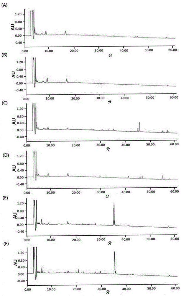 Method for discriminating rhizoma dioscoreae nipponicae medical materials