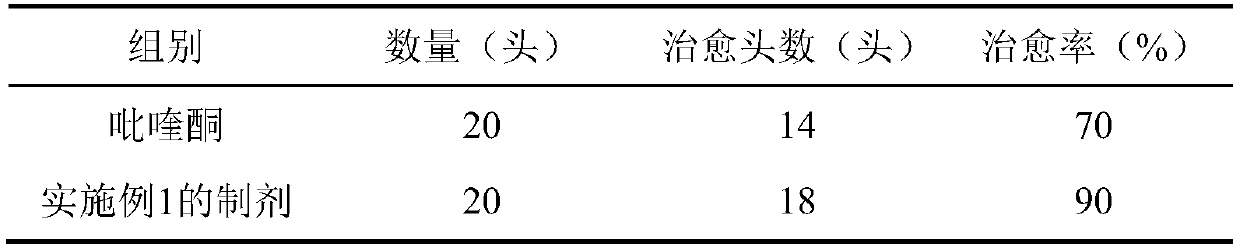 A drug combination for preventing and treating animal echinococcosis and its application