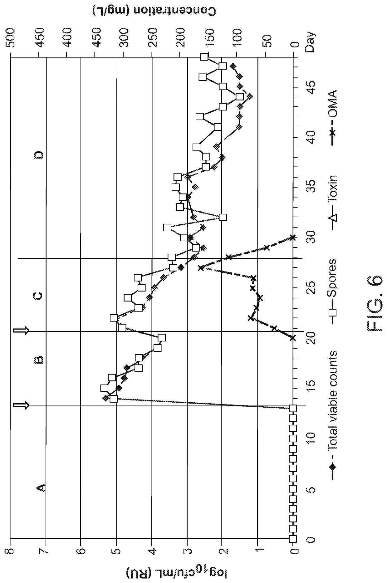 Methods for treating and preventing c. difficile infection