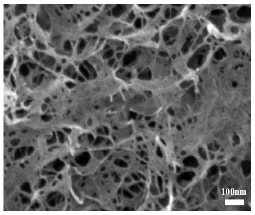 Sulfur positive electrode material with functional intermediate layer and preparation and application thereof