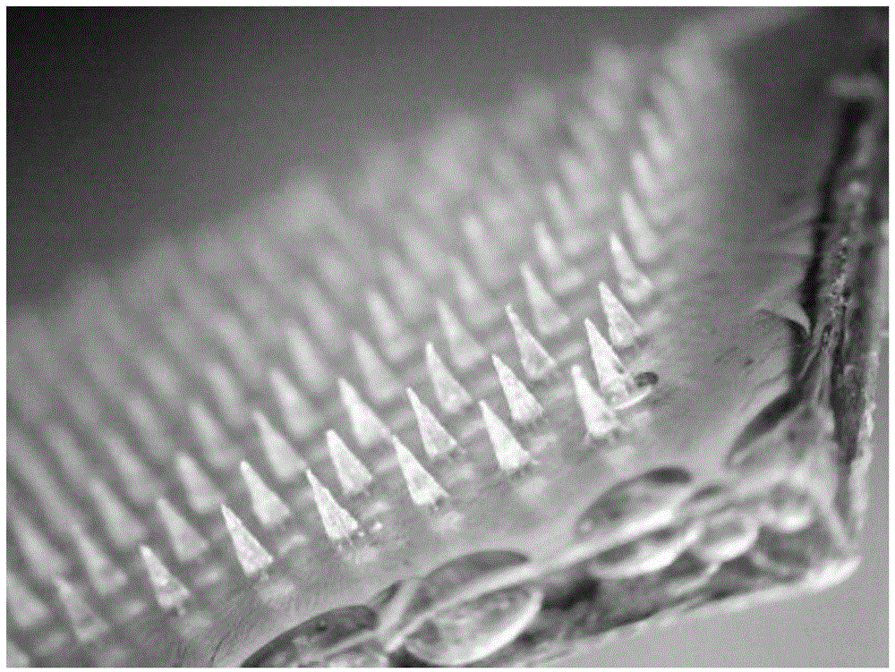 Active separation-type soluble microneedle and preparation method thereof