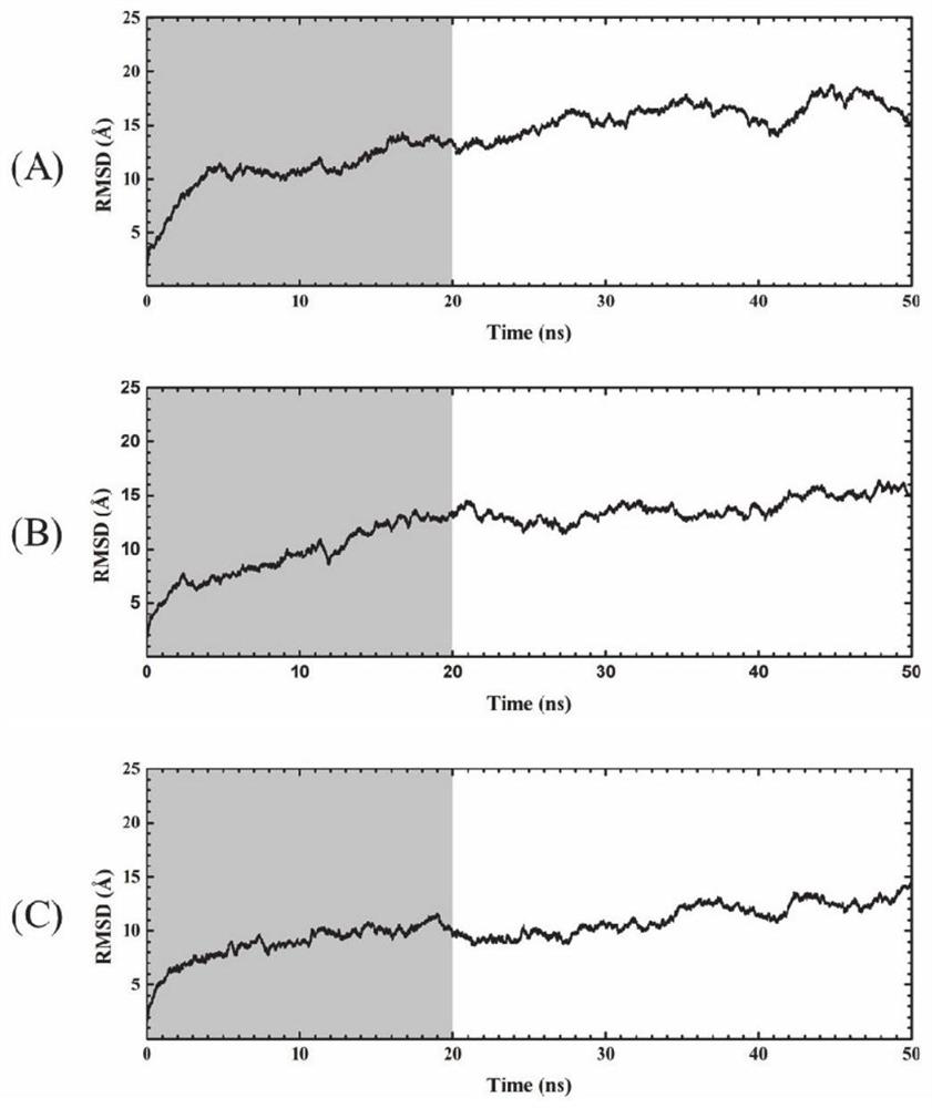 Simulation analysis method of DNA polyhedron with special branch number