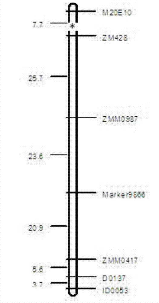 Molecular markers closely linked to major gene loci for moisture resistance traits in sesame and their applications