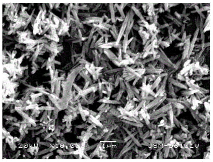 Preparation of zn by molten salt template method  <sub>1‑x</sub> mg  <sub>x</sub> o Nanorod approach