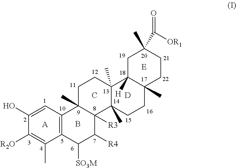 Water-soluble triterpenephenol compounds having antitumor activity and the preparation thereof