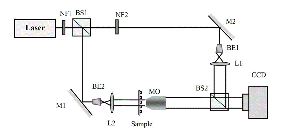 Rapid package removal method of digital microscopic holographic phase diagram