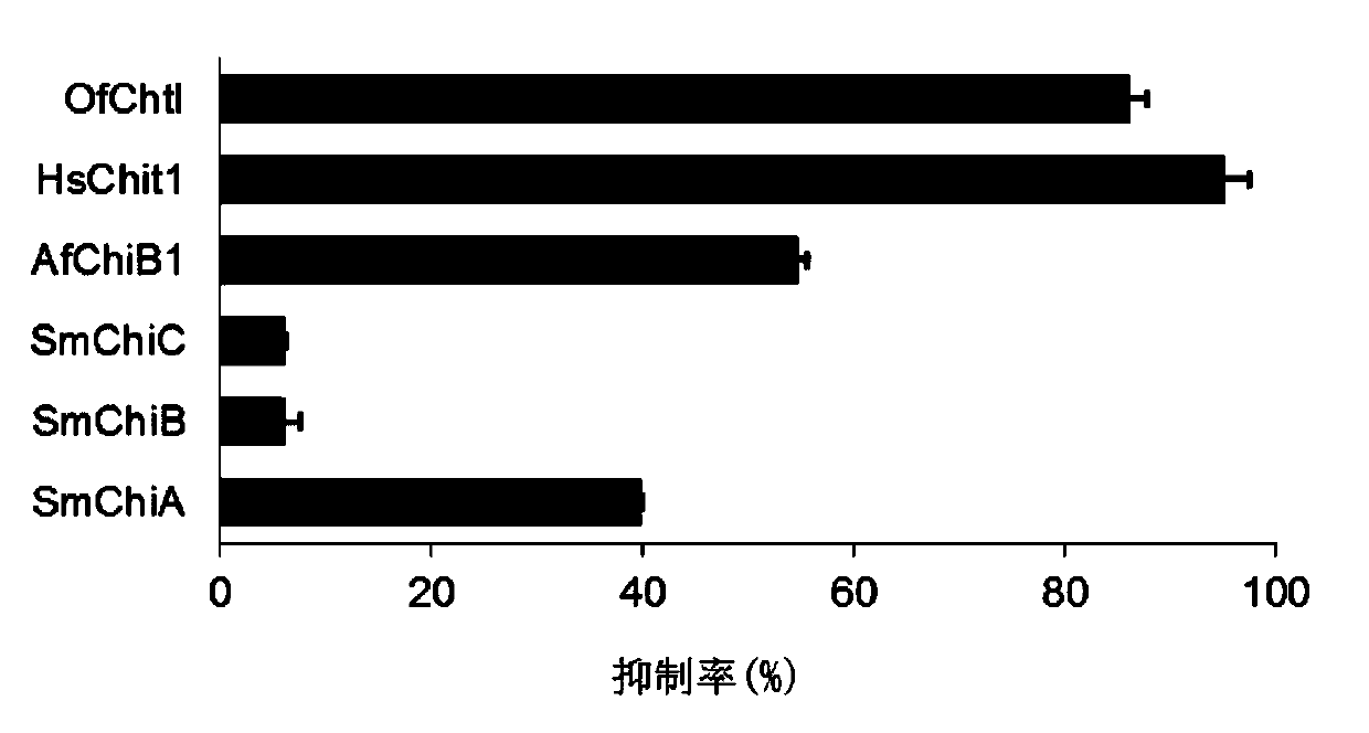 Application of Kasugamycin and Its Derivatives as Chitinase Inhibitors