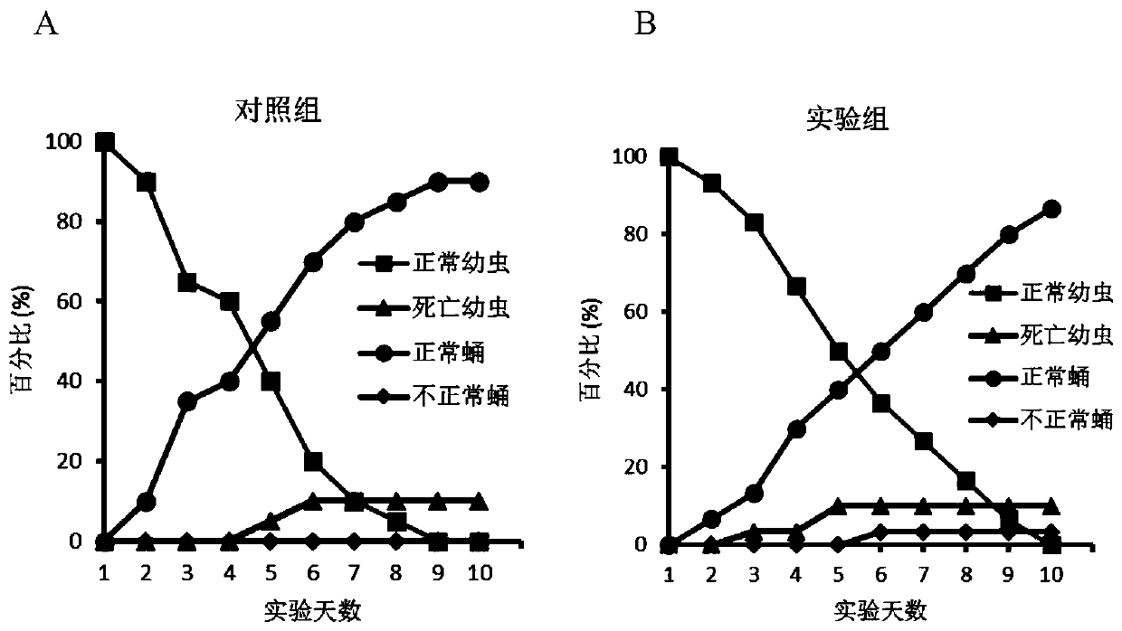 Application of Kasugamycin and Its Derivatives as Chitinase Inhibitors