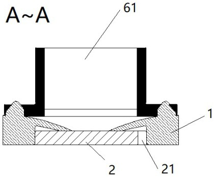 Check valve device and pump structure thereof