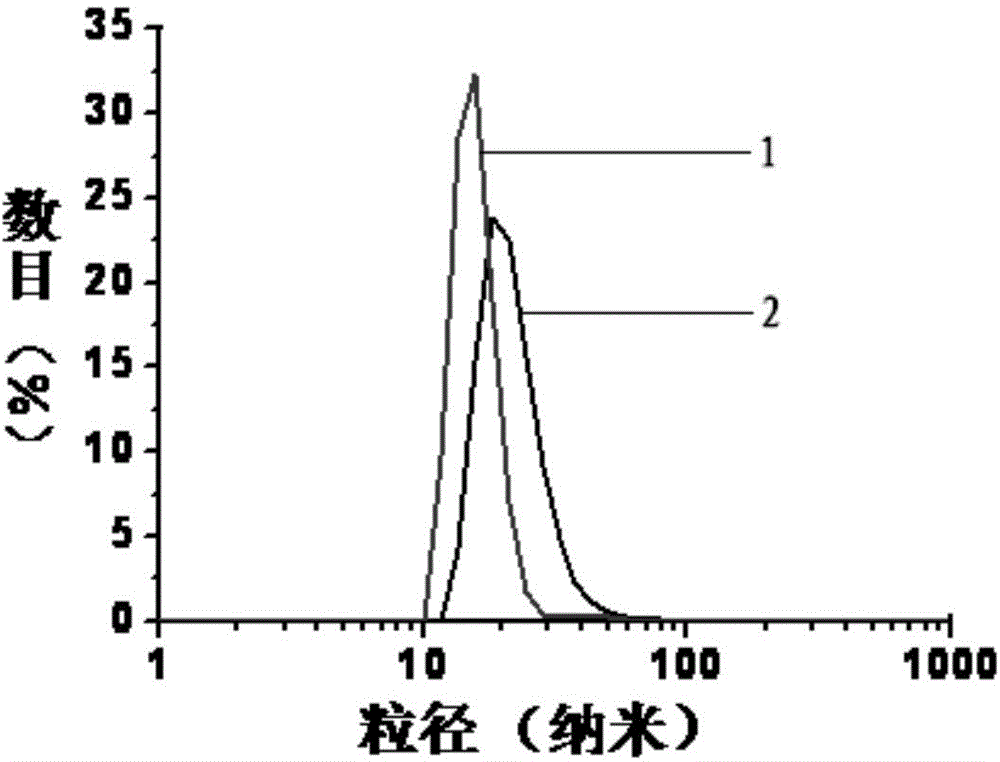 Protein-polypyrrole compound as well as preparation method and application of protein-polypyrrole compound derivative