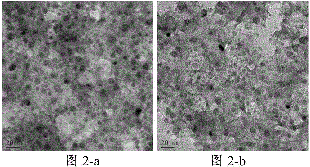 Protein-polypyrrole compound as well as preparation method and application of protein-polypyrrole compound derivative