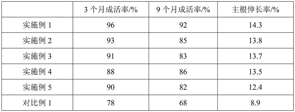 Method for improving construction survival rate of coastal saline-alkali land protection forest