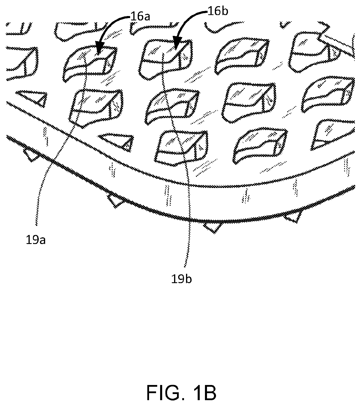 Snowshoes