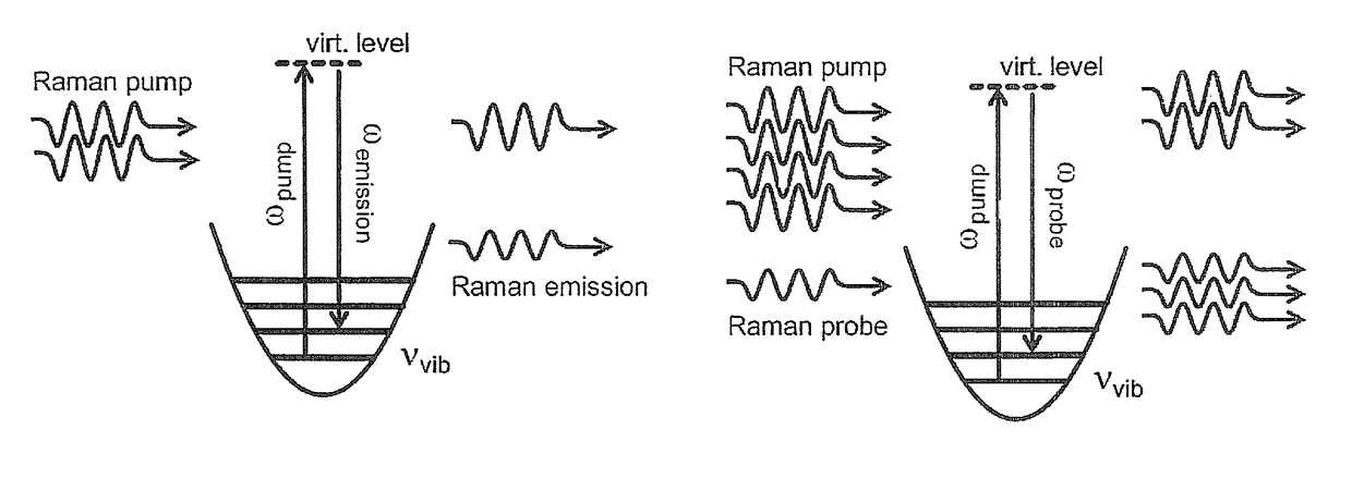 System and method for stimulated raman spectroscopy