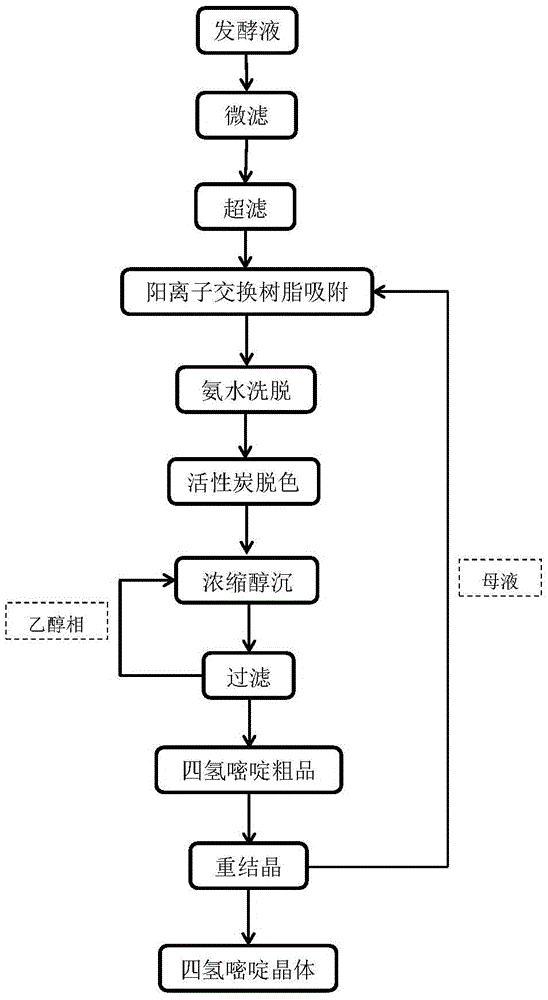 Method for separating and extracting tetrahydropyrimidine from fermentation broth