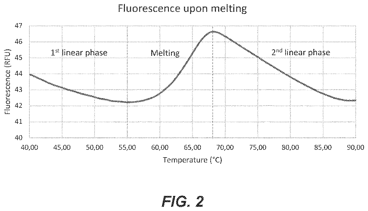 Probe and method for str-genotyping