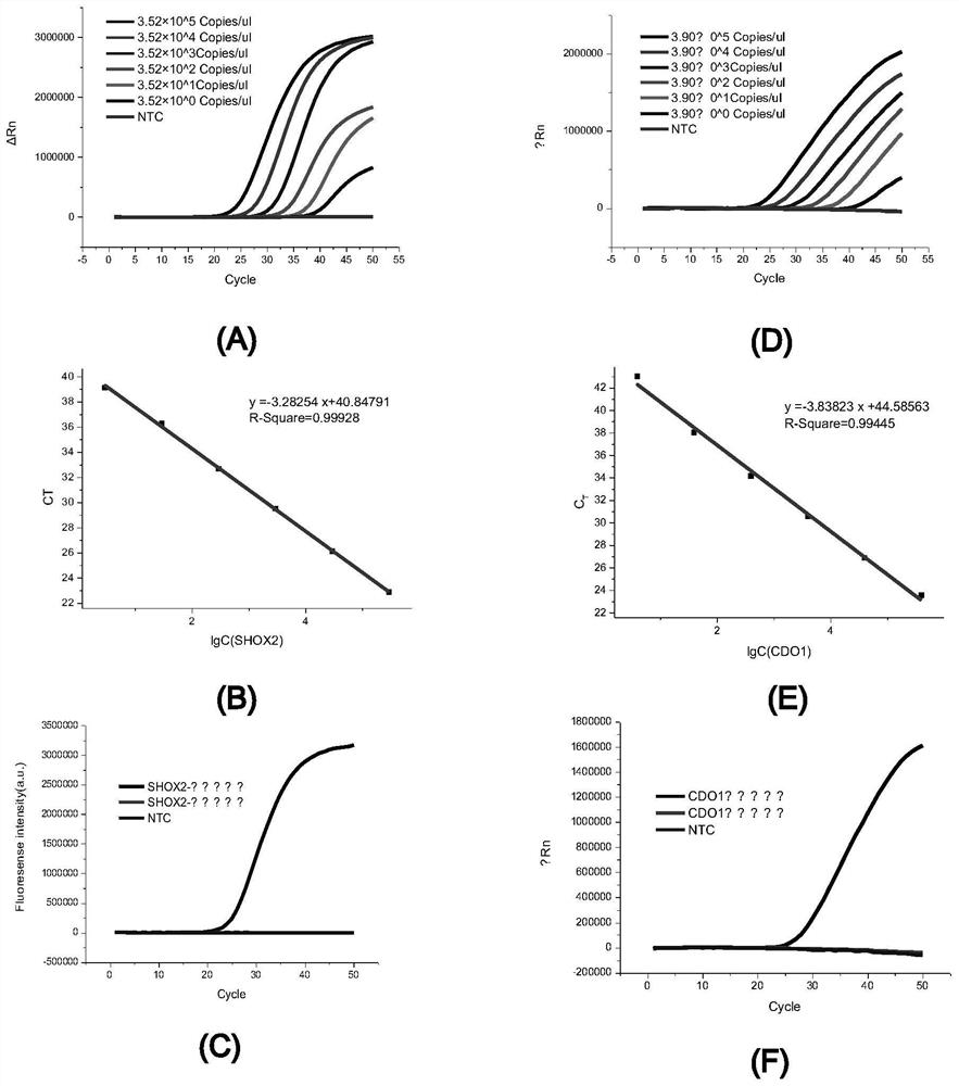 Lung cancer related methylation gene combination in plasma and application of lung cancer related methylation gene combination