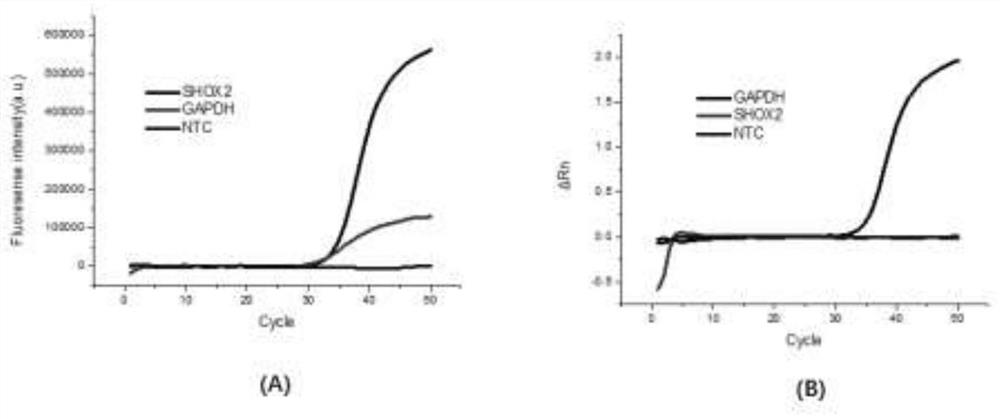 Lung cancer related methylation gene combination in plasma and application of lung cancer related methylation gene combination