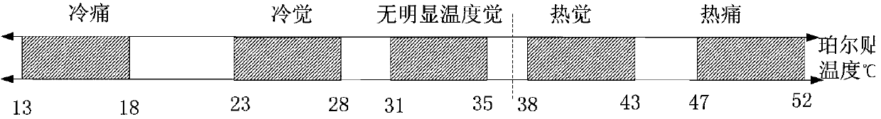 Wearing device with temperature sensation and vibration sensation