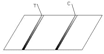 Immunochromatographic test paper for rapidly detecting bladder cancer by utilizing anti-nuclear matrix protein 22 antibodies and preparation method of test paper