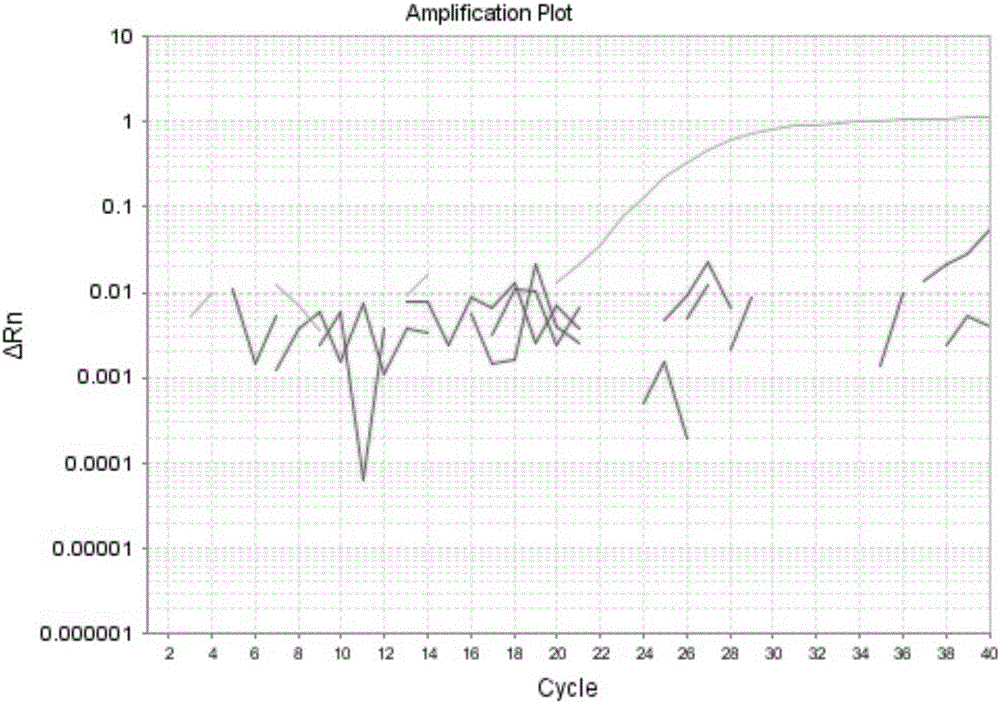 Primers, probe, kit and method for detecting bovine coronavirus