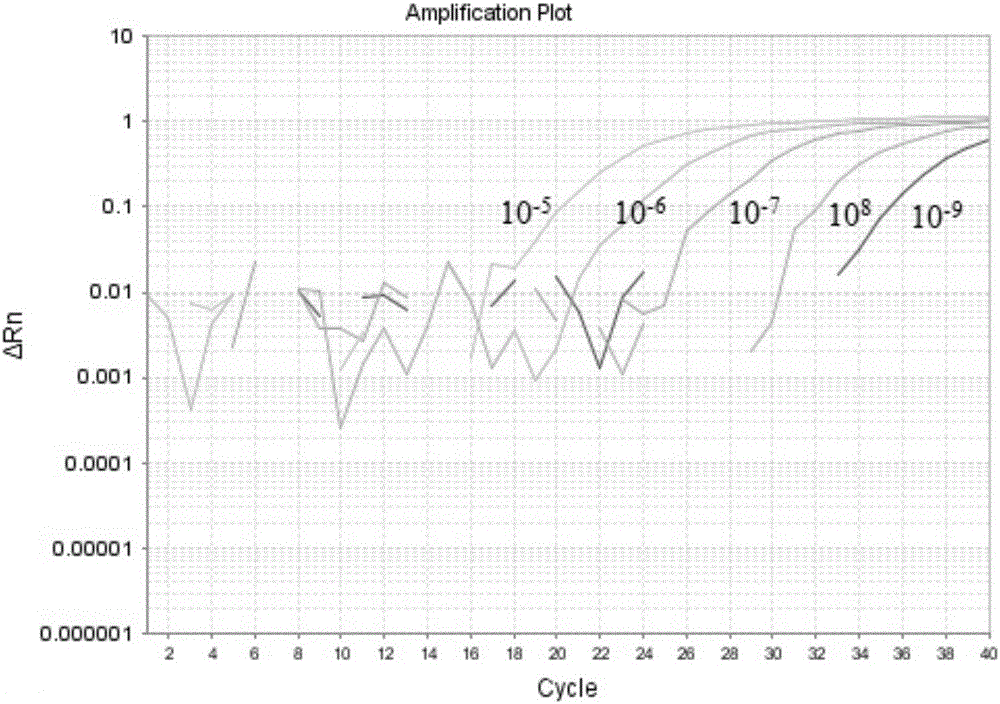 Primers, probe, kit and method for detecting bovine coronavirus