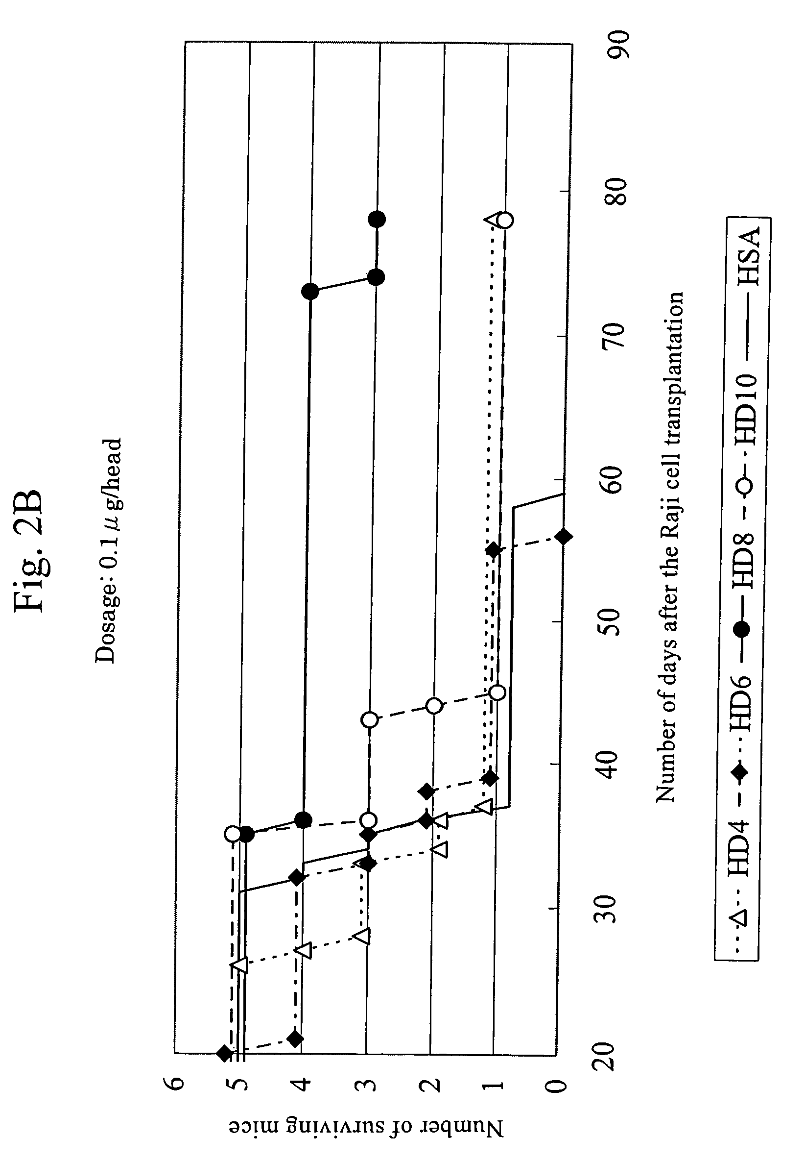 Anti-HLA-DR antibody